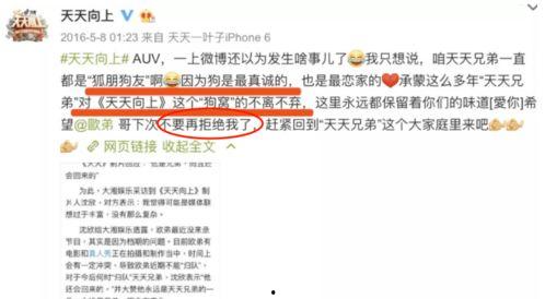 粤语娱乐圈爆料网站大全,一网打尽热门资讯 第1张 粤语娱乐圈爆料网站大全,一网打尽热门资讯 第1张